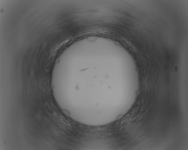 X0000062640824200601111123