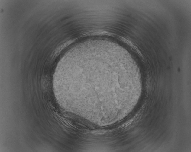 X0000062640825200601111123