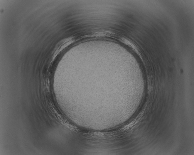 X0000062640827200601111123