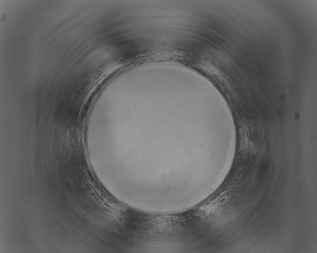 X0000062640828200601111123