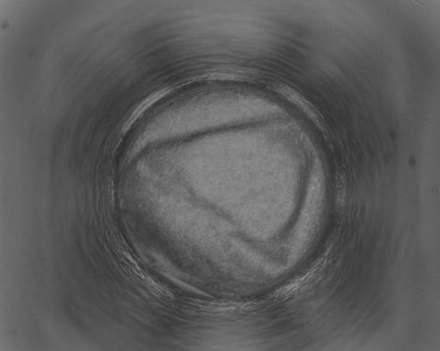 X0000062640829200601111123