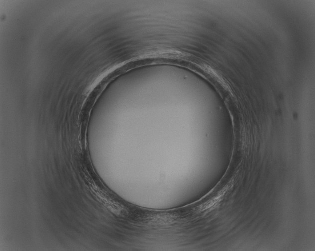 X0000062640830200601111123