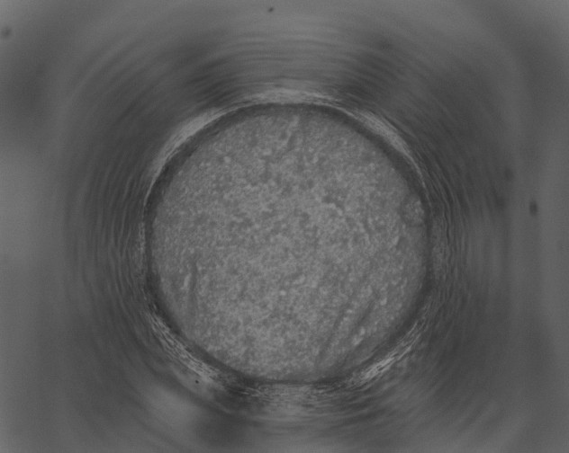 X0000062640831200601111123