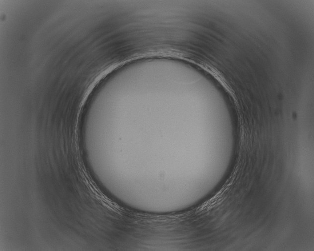 X0000062640832200601111124