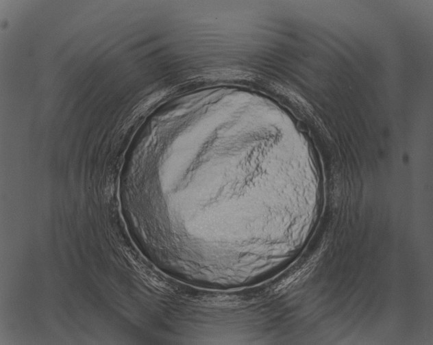 X0000062640833200601111124