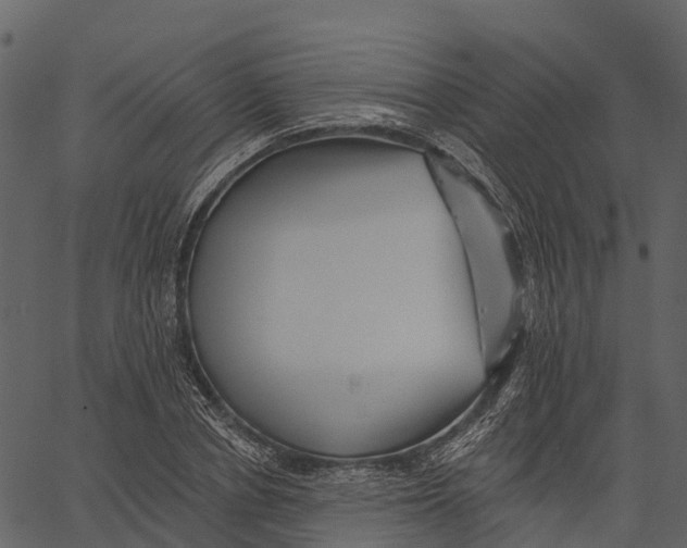 X0000062640834200601111124