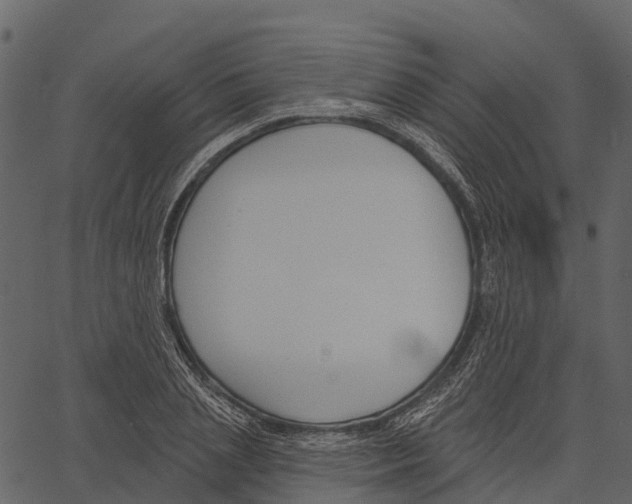 X0000062640837200601111124