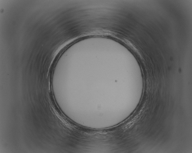 X0000062640838200601111124