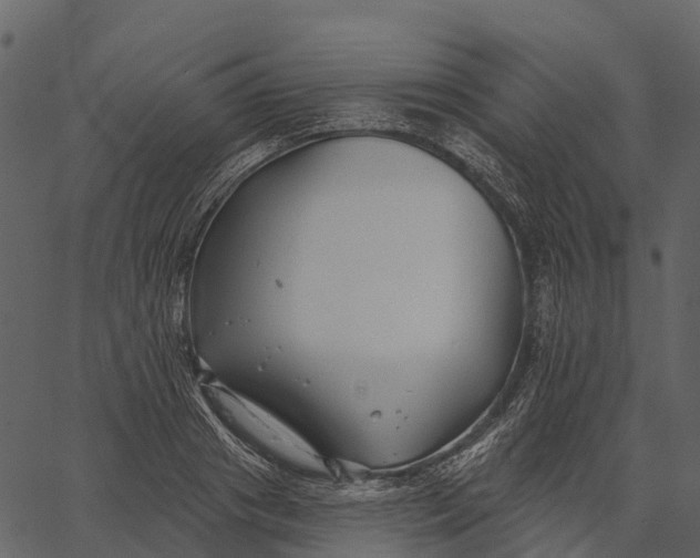 X0000062640841200601111124