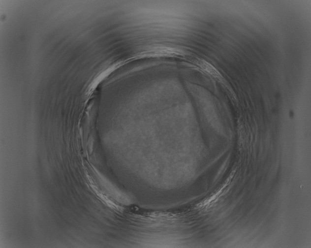 X0000062640842200601111124