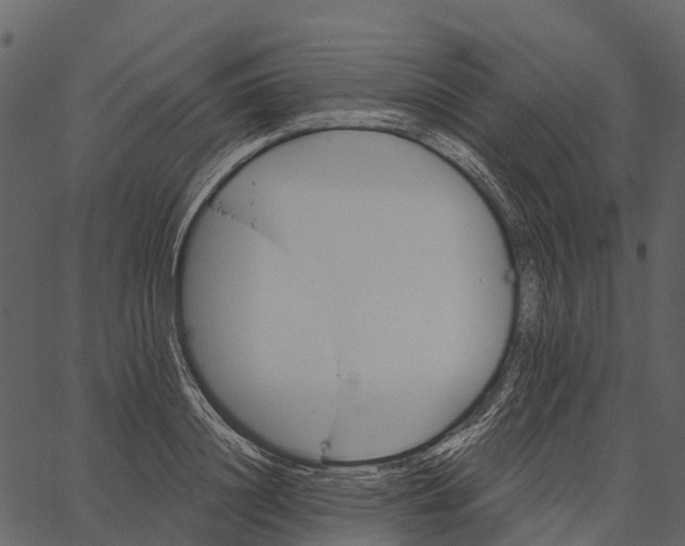 X0000062640844200601111124