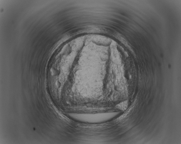 X0000062640845200601111124