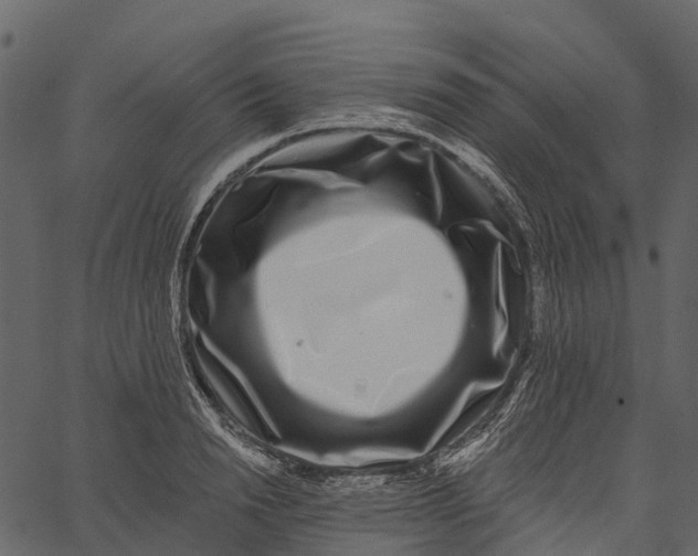 X0000062640846200601111124