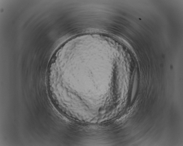 X0000062640847200601111124