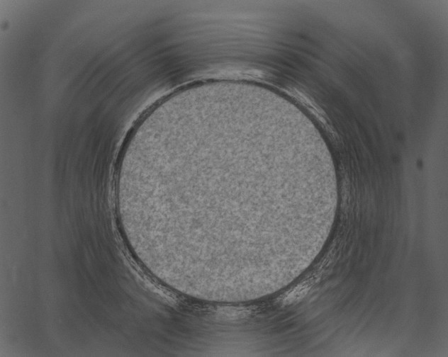 X0000062640848200601111124