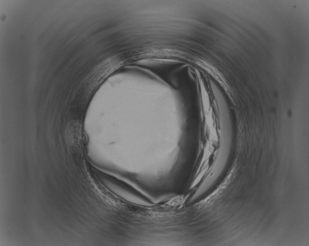 X0000062640849200601111124