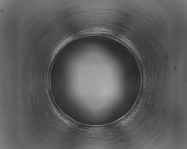 X0000062640850200601111124