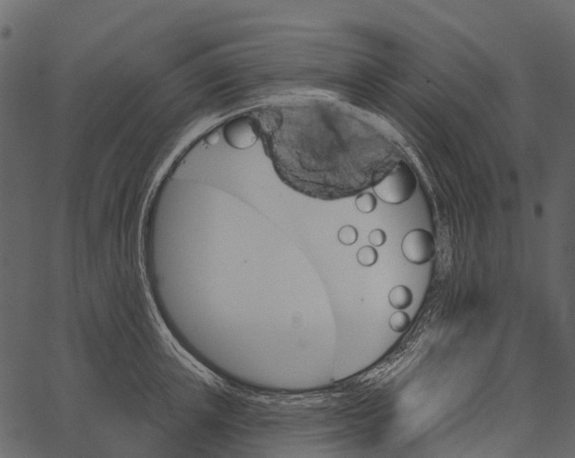 X0000062640851200601111124