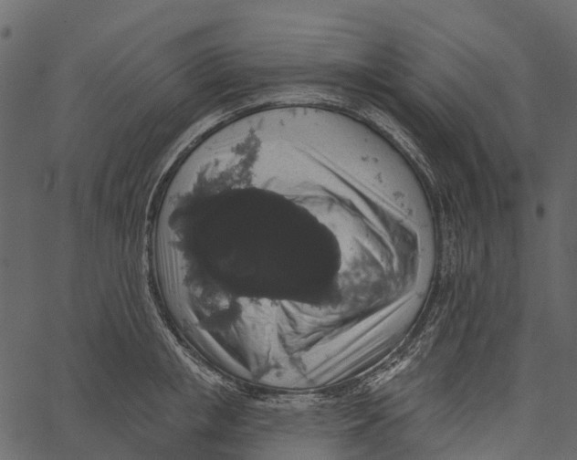 X0000062640853200601111124