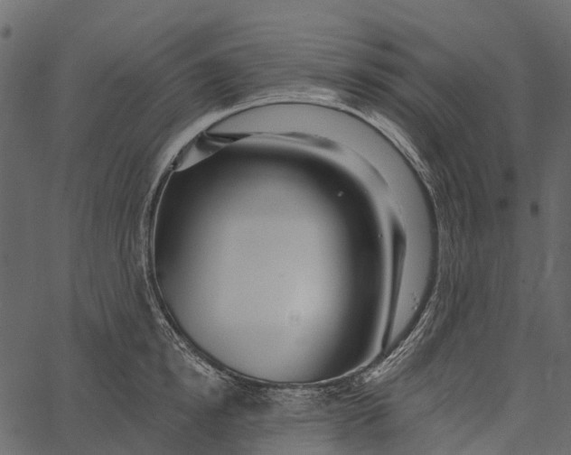 X0000062640854200601111124