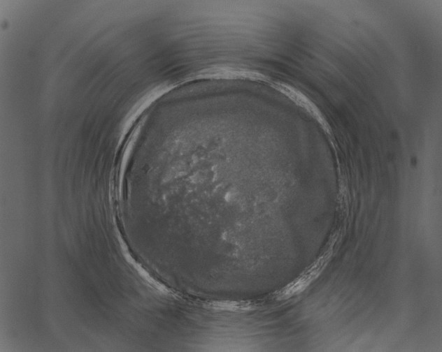 X0000062640855200601111124