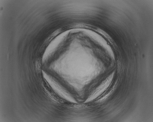 X0000062640857200601111124