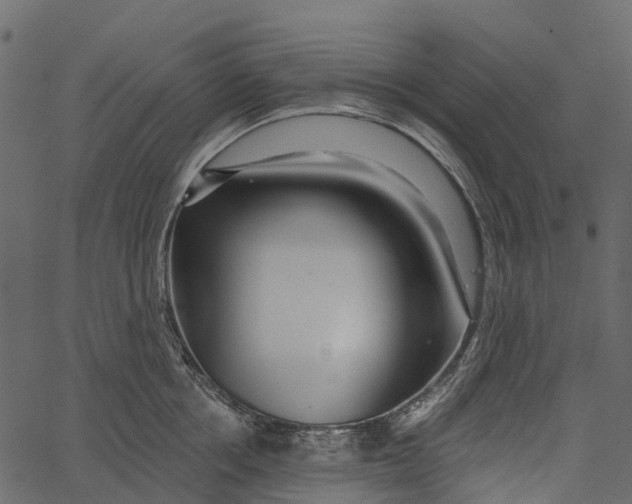 X0000062640858200601111124