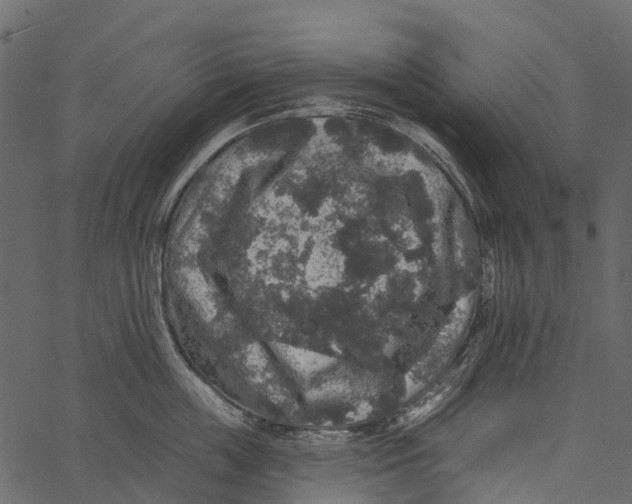 X0000062640859200601111124