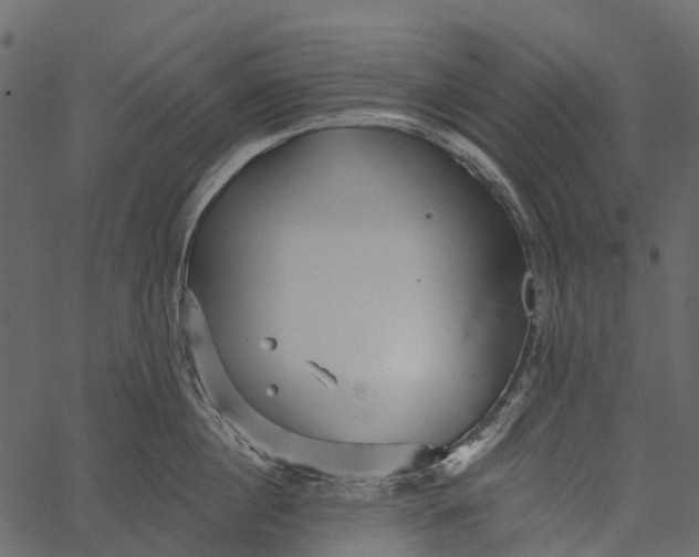 X0000062640860200601111124