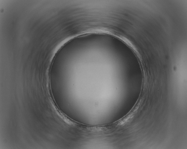 X0000062640862200601111124