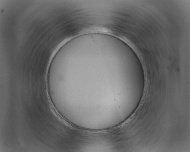 X0000062640864200601111124