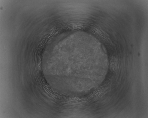 X0000062640866200601111123