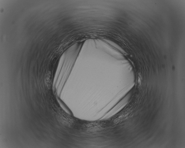 X0000062640867200601111123