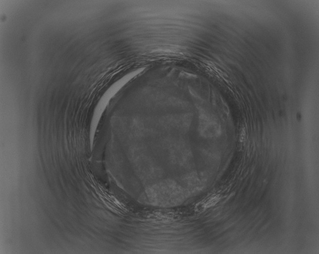 X0000062640868200601111123