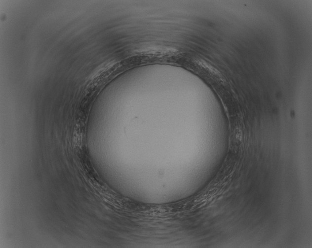 X0000062640869200601111123