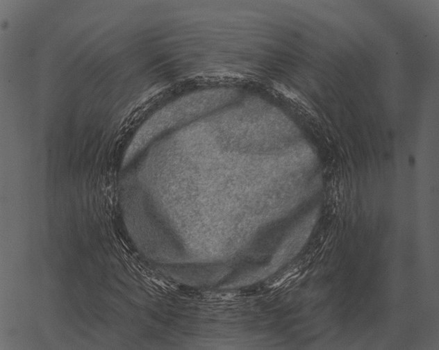 X0000062640870200601111123