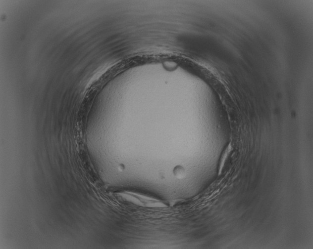 X0000062640871200601111123