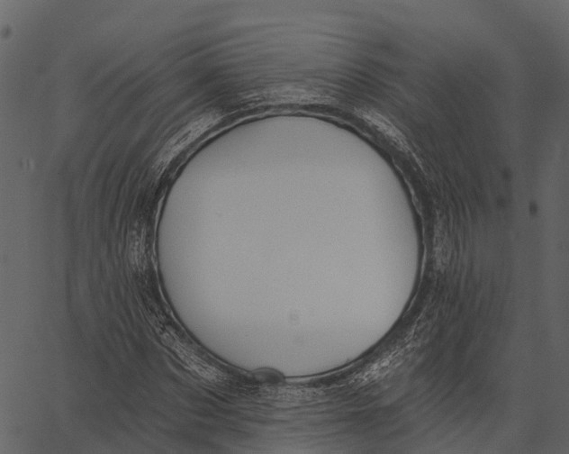 X0000062640873200601111123