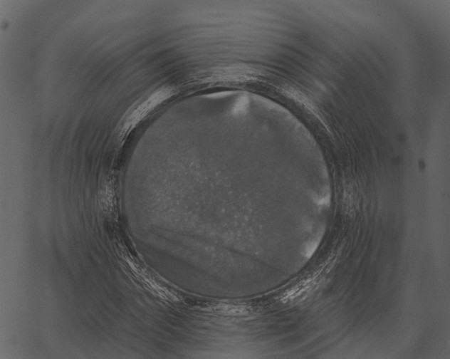 X0000062640874200601111123