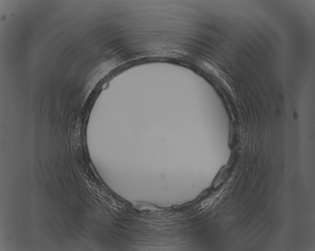 X0000062640875200601111123