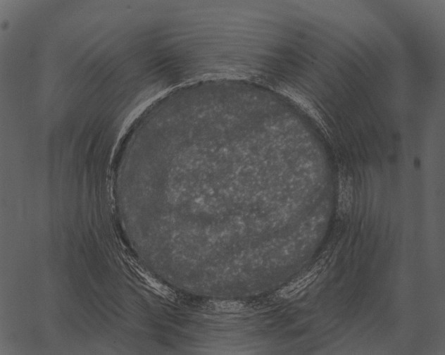 X0000062640878200601111123