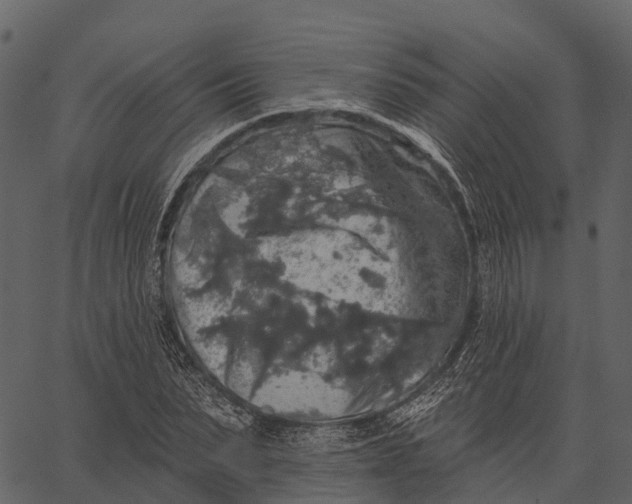 X0000062640879200601111123