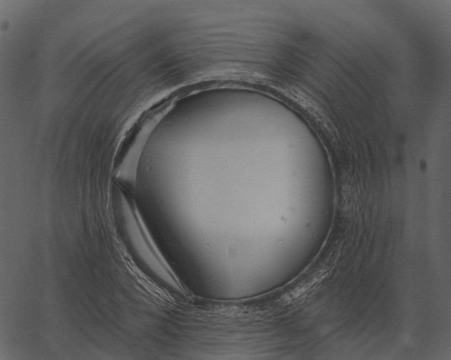 X0000062640880200601111123