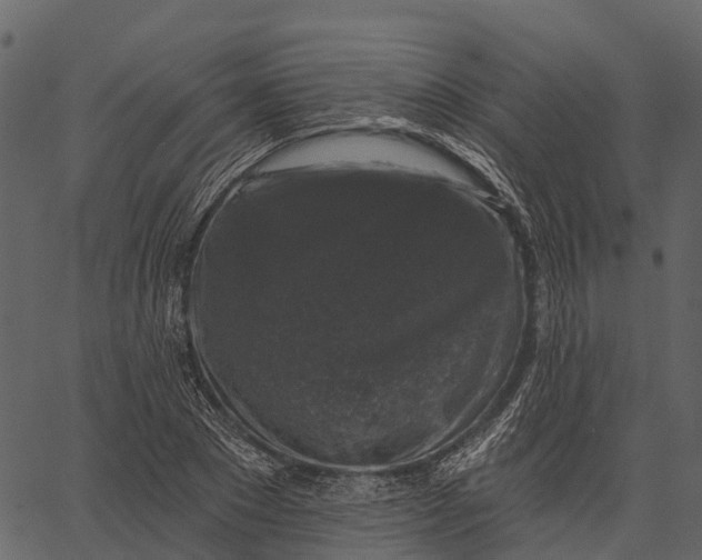 X0000062640881200601111123