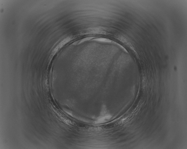 X0000062640882200601111123