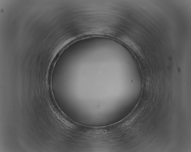 X0000062640884200601111123