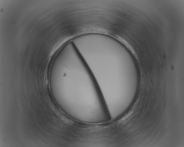 X0000062640885200601111123