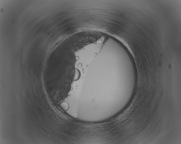 X0000062640887200601111123