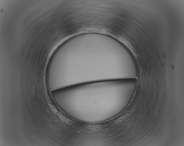 X0000062640888200601111123