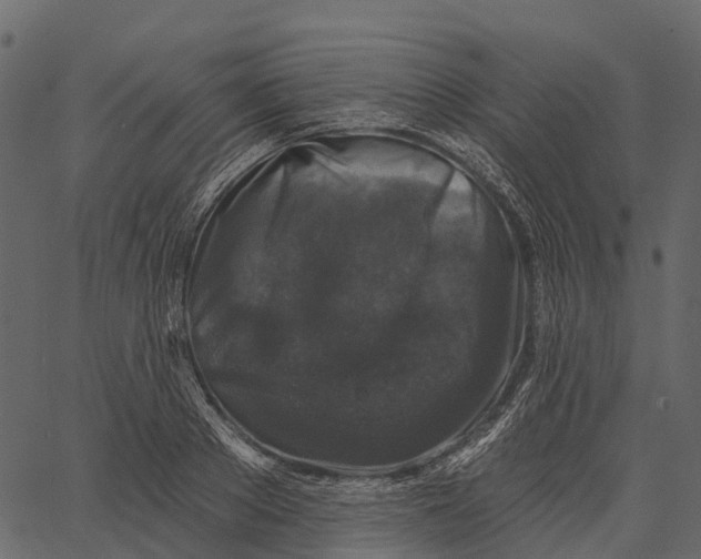 X0000062640889200601111123